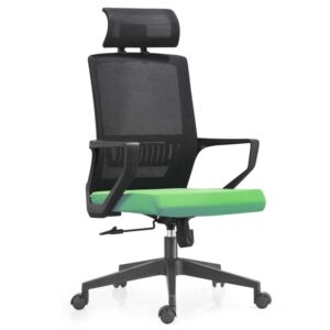 Ergonomic Luxury Office Chair (Green)