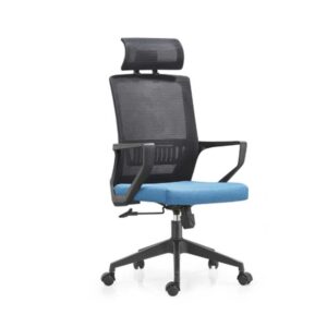 Ergonomic Luxury Funiture Office Chair (Blue)